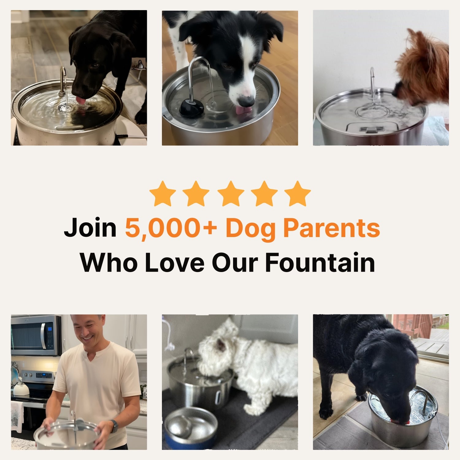 The Hydrant Pet Fountain