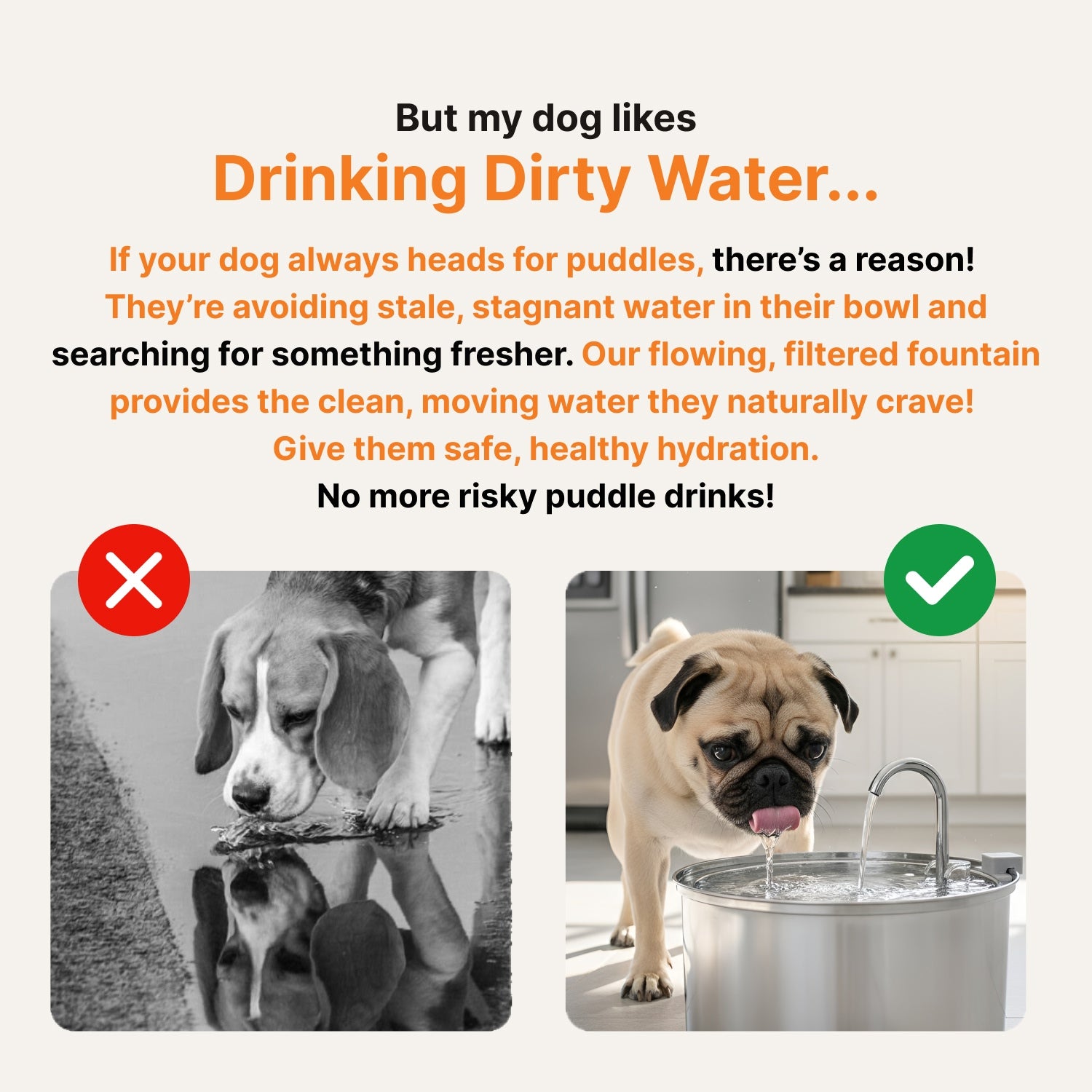 The Hydrant Pet Fountain