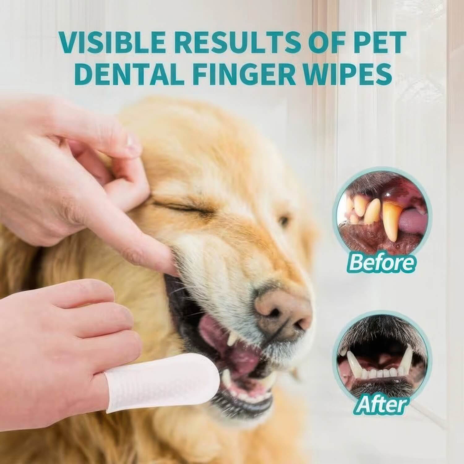 Dog Dental Wipes – For daily maintenance & fresh breath without the brush fight