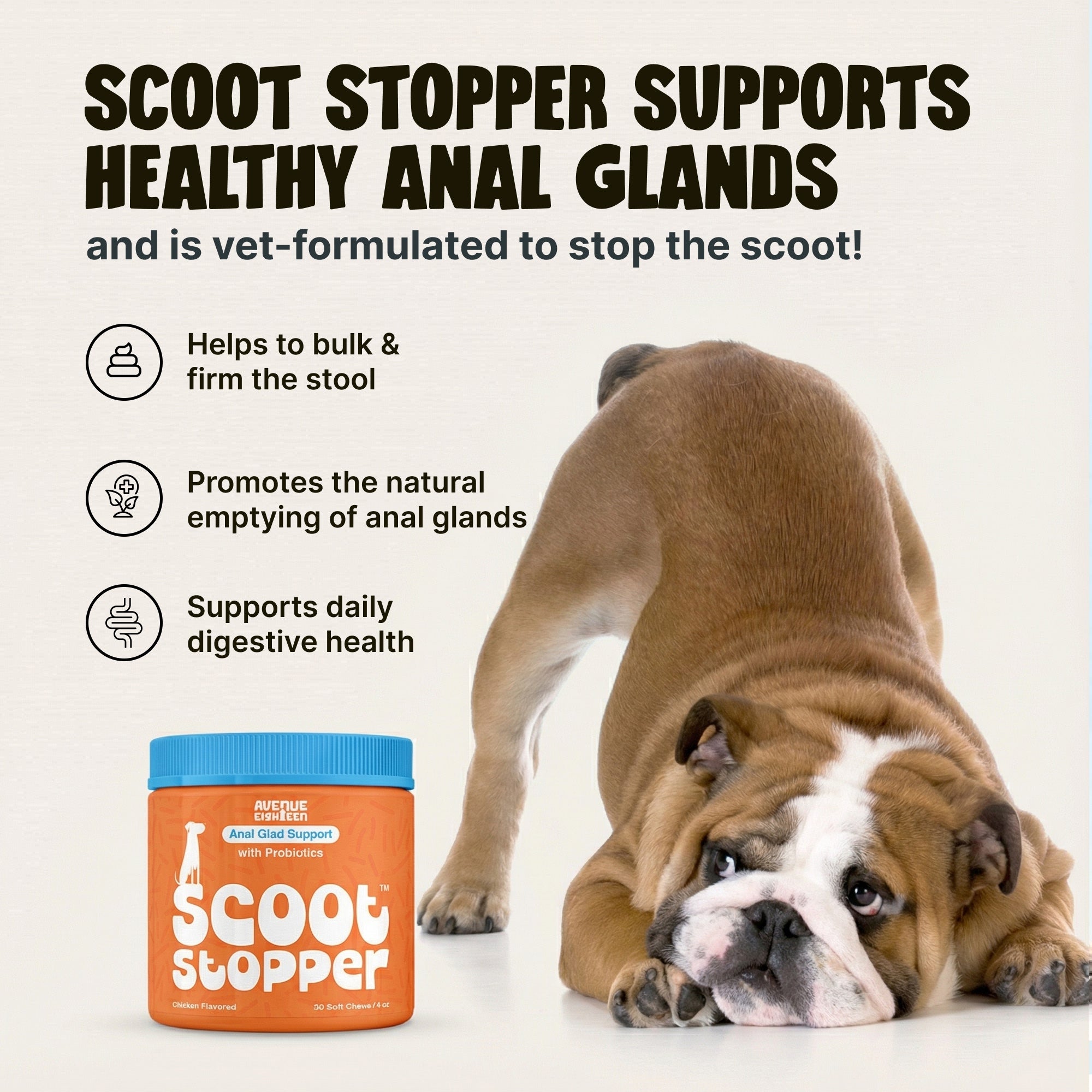 Dog Anal Gland Support Chews