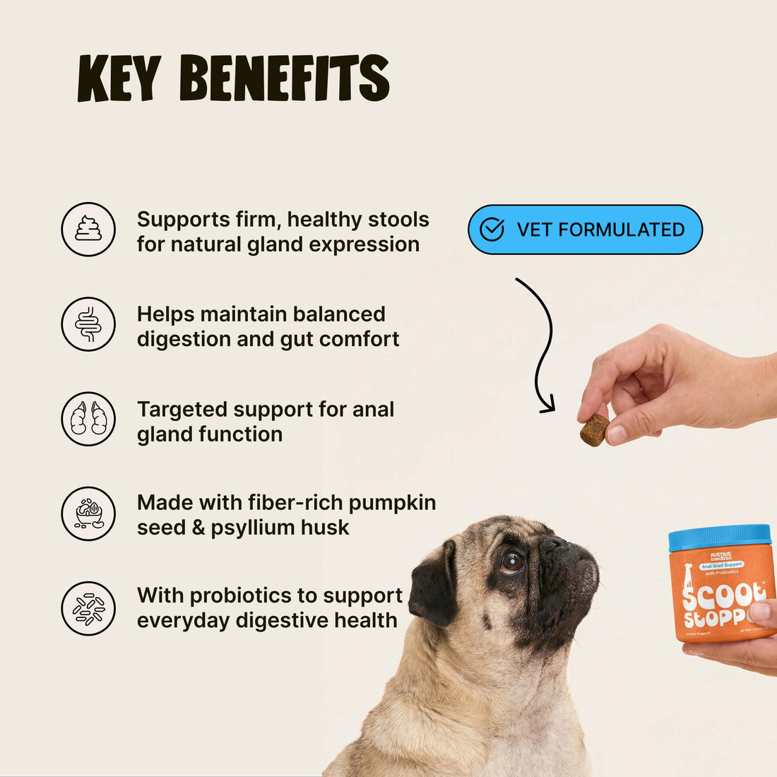Dog Anal Gland Support Chews